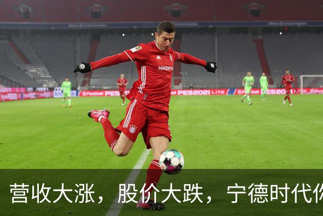营收大涨，股价大跌，宁德时代你到底咋了？
